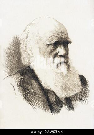 Der englische Naturforscher CHARLES Robert DARWIN ( 1809 - 1882 ) - NATURALISTA - SCIENZIATO - WISSENSCHAFTLER - EVOLUZIONISMO - EVOLUTIONISMUS - Teoria Evoluzio Stockfoto