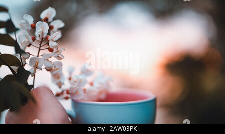 Person, die einen wunderbaren Becher und eine Blume in der Hand hält. POV-Schuss. Liebe und Hintergrundkonzept. Stockfoto