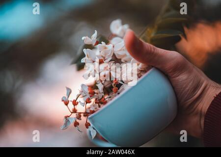 Person, die einen wunderbaren Becher und eine Blume in der Hand hält. POV-Schuss. Liebe und Hintergrundkonzept. Stockfoto