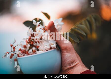 Person, die einen wunderbaren Becher und eine Blume in der Hand hält. POV-Schuss. Liebe und Hintergrundkonzept. Stockfoto