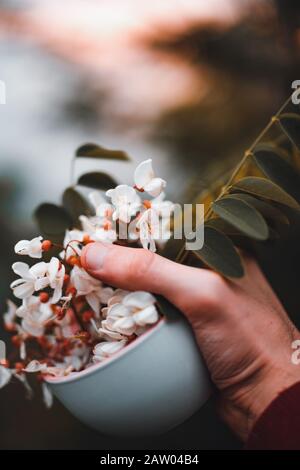 Person, die einen wunderbaren Becher und eine Blume in der Hand hält. POV-Schuss. Liebe und Hintergrundkonzept. Stockfoto