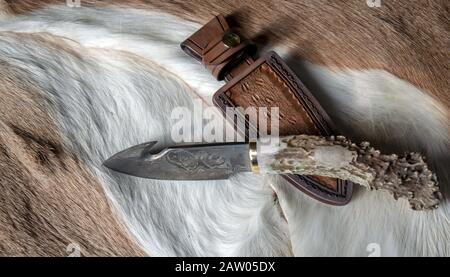 Whitetail-Hirschen-Häute bilden eine schöne Kulisse für ein Hirsch-Ampfer damaszener Klingenhakenmesser und Ledermantel. Bokeh. Stockfoto