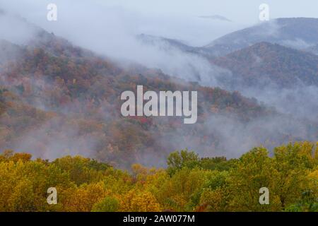 Morgennebel steigt über Herbstlaub im Great Smoky Mountains National Park. Stockfoto