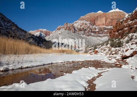 Reflexion in Pine Creek nach einem Winter-Schneesturm, Zion National Park, Utah Stockfoto