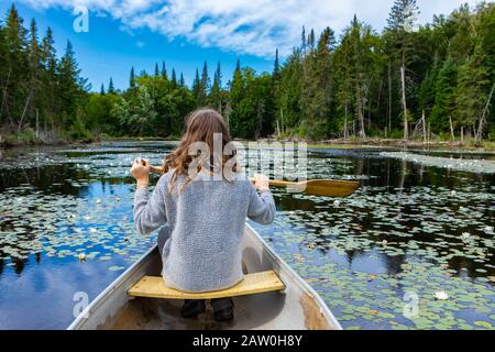 Rückansicht des Kanumädchens, das Hafer hält, die sich im Urlaub mit Wasserlilien im Norden Quebecs, Kanada mit Tannen und Fichten in See paddeln Stockfoto