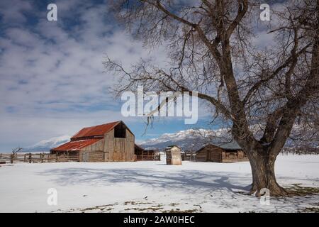 Rote, überdachte Scheune im Winter, Levan, Utah Stockfoto