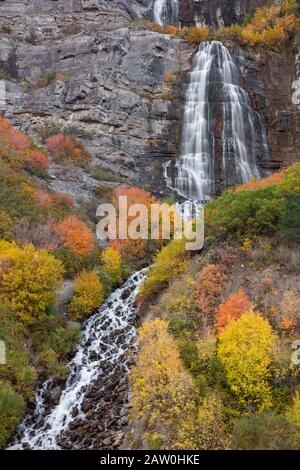 Herbstlaub bei Bridal Veil Falls, Provo Canyon, Uinta National Forest, Wasatch Mountains, Utah Stockfoto