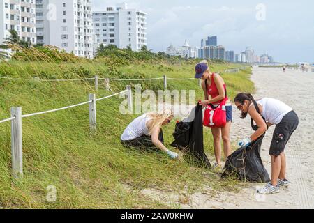 Miami Beach, Florida, Coastal Cleanup Day, Studenten Freiwillige Freiwillige Freiwillige Arbeit Arbeiter, Teamwork arbeitet zusammen, um Hilfe zu dienen Stockfoto