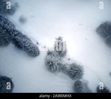 Von oben Blick auf den Winterwald und Leute mit Rucksack auf dem Weg. Winterhintergrund. Stockfoto