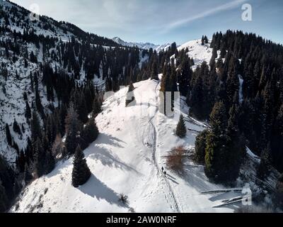 Von oben Blick auf den Winterwald und Leute mit Rucksack auf dem Weg. Winterhintergrund. Stockfoto
