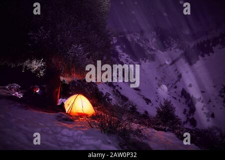 Camp mit orangefarbenen, leuchtenden Zelten in der Nähe großer Fichten in den Bergen unter purpurem Winterhimmel. Stockfoto