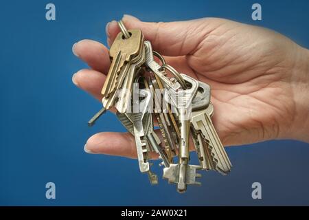 Die Hand der Frau, die einen Schlüsselbund auf blauem Hintergrund hält Stockfoto