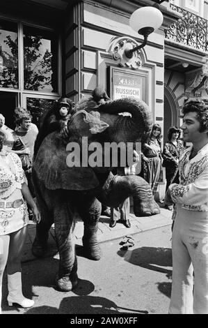 Russischer Staatszirkus in Amsterdam Elephant mit einem Affen an seinem Hinterdatum: 30. Juli 1979 Ort: Amsterdam, Noord-Holland Schlagwörter: Affen, Zirkus, Elefanten, Publikum Stockfoto