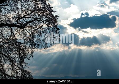 Lichtwelle am Morgen Stockfoto