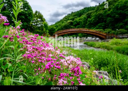 Narai Juku im Sommer Stockfoto