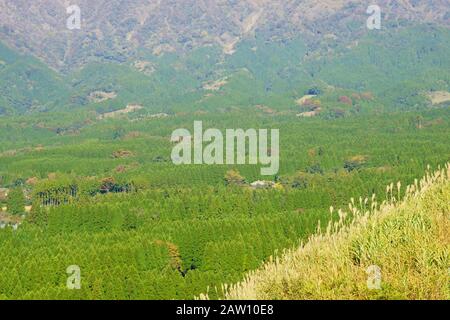 Land in Aso, Präfektur Kumamoto, Japan Stockfoto