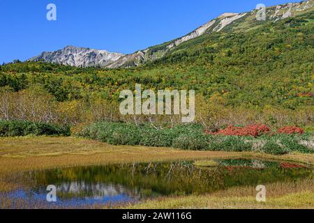 Blick vom Ukishima-Marschland, Tsugai Shizenen, Präfektur Nagano, Japan Stockfoto