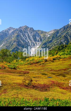 Tenbou Marschland, Tsugai Shizenen, Präfektur Nagano, Japan Stockfoto