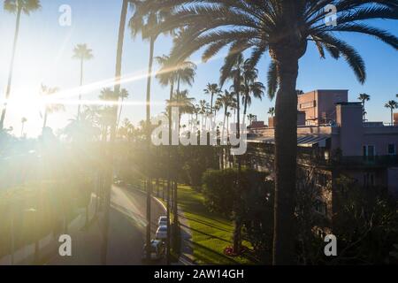 Atemberaubender Luftblick auf das Viertel Beverly Hills, das Beverly Hills Hotel und den Sunset Boulevard, umgeben von Palmen in Los Angeles, Kalifornien. Stockfoto