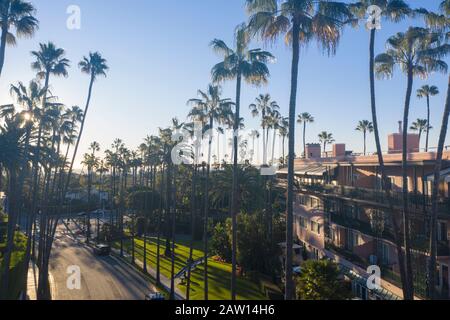 Atemberaubender Luftblick auf das Viertel Beverly Hills, das Beverly Hills Hotel und den Sunset Boulevard, umgeben von Palmen in Los Angeles, Kalifornien. Stockfoto