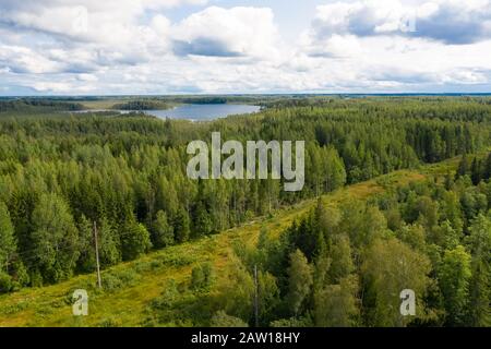Draufsicht auf einen Waldsee und eine Reihe von elektrischen Drähten, die am Rand des ForestTop entlang führen, Blick auf einen Waldsee und eine Autorasse, die über die TH gehen Stockfoto