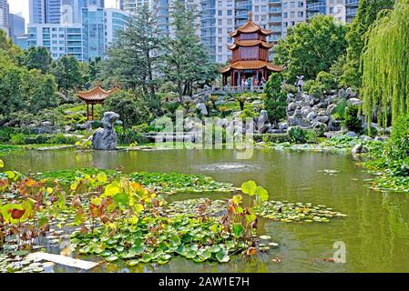 Schöner chinesischer Garten und Teich rund um eine Pagode, die im Hintergrund von der Stadt Sydney kontrastiert wird. Chinesischer Garten der Freundschaft, Sydney, Australien. Stockfoto