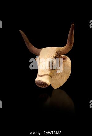 Minoan Bulls Kopfrhythmusgefäß, Machlos 1500-1450 v. Chr.; Archäologisches Museum Heraklion, schwarzer Hintergrund. Stockfoto