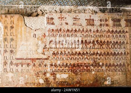 Mittelägypten, Deir el Bersha, Grab des Djehutyhotep, Mittelreich. Hauptraum, die bekannteste Szene: Transport einer kolossalen Statue. Stockfoto