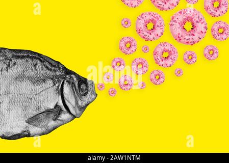 Konzept Fisch und Donuts auf farbigem Hintergrund. Collage für moderne Kunst Stockfoto