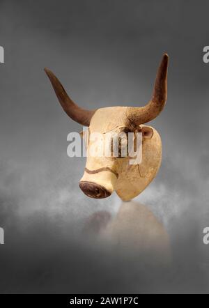 Minoan Bulls Kopfrhythmusgefäß, Machlos 1500-1450 v. Chr.; Archäologisches Museum Heraklion, grauer Hintergrund. Stockfoto