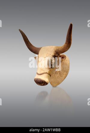 Minoan Bulls Kopfrhythmusgefäß, Machlos 1500-1450 v. Chr.; Archäologisches Museum Heraklion, grauer Hintergrund. Stockfoto