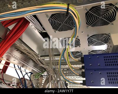 Mehrfarbige Netzwerkkabel, die mit dem Rechenzentrumsserver verbunden sind. Stockfoto