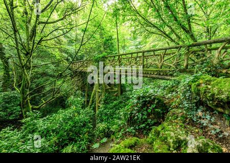 Frankreich, Loir et Cher, Loire-Tal, das von der UNESCO zum Weltkulturerbe erklärt wurde, Chaumont sur Loire-Gebiet, Domäne von Chaumont sur Loire-et, Internationales Gartenfestiva Stockfoto