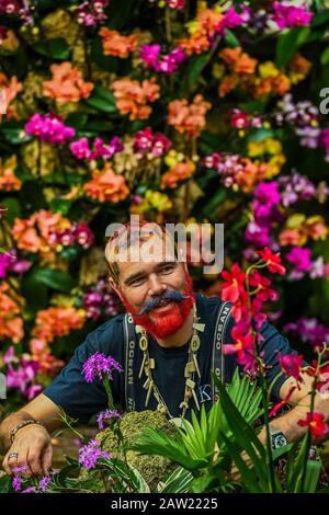 London, Großbritannien. Februar 2020. Das botanische Personal nimmt die letzten Änderungen an der Anzeige vor - Kew Gardens' erstes Orchideenfestival, das sich auf das Land Indonesien im Princess of Wales Conservatory bethema hat. Credit: Guy Bell/Alamy Live News Stockfoto