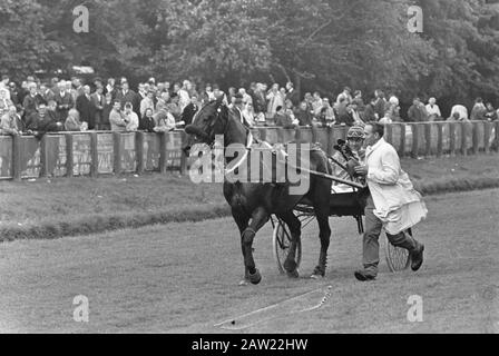 Trotting Race Championats Netherlands-Belgien 1968 Duempt Beschreibung: Pferd und Jockey sind auf der Strecke geführt Datum: 30. September 1968 Ort: Wassenaar, Zuid-Holland Schlagwörter: Trotting und Rennpferde: Unbekannt / Anefo Urheberrechtsinhaber: National Archives Material Typ: Negativ (schwarz/weiß) Archivnummer: Siehe Zugang 2.24.01.05 Stockfoto