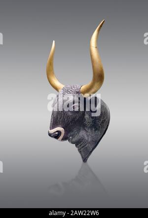 Minoische Bulgs-Kopfform mit Go;d Horns, vom Knossos-Little-Palast 1600-1450 v. Chr., Archäologisches Museum Heraklion, grauer Hintergrund. T Stockfoto