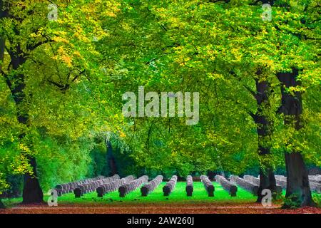 Soldatenfriedhof Dortmund-Brackel, Deutschland, Nordrhein-Westfalen, Ruhrgebiet, Dortmund Stockfoto