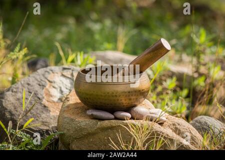 Gesangsschale, buddhistisches Instrument zur Tontherapie, tibetische Gesangsschale, neben Teich. Stockfoto