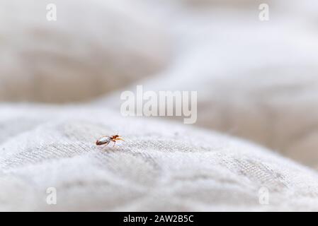 Bettwrack auf WEISSER Matratze Stockfoto