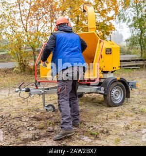 Reinigen des Waldes und Abplatzen von Ästen mit einer speziellen Maschine Stockfoto