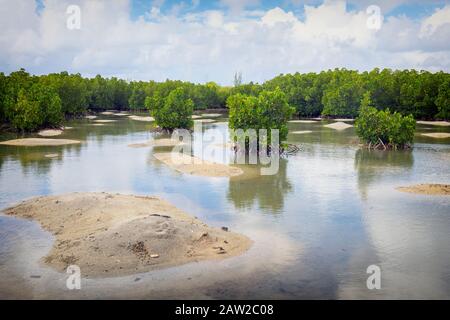 Die Pointe D'Esny Feuchtgebiet in der Nähe von Mahebourg, Mauritius, Maskarenen Inseln. Die Feuchtgebiete sind ein Ramsar-gebiet von internationaler Bedeutung erklärt. Stockfoto