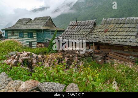 In Chitkul, Himachal Pradesh, Indien, liegen Häuser aus gefliestem Dorf und Holzhöhen, die von Wald und überwucherten Pflanzen umgeben sind. Stockfoto