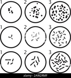 Vektor-Bakterien-Wachstumsstufen: Schwarze Bakterienzellen in Petrischalen isoliert auf weißem Hintergrund Stock Vektor