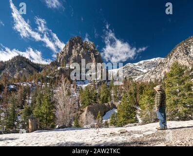 Charleston Peak massiv, auf der rechten Seite, in der Ferne, Blick im April von Mary Jane Falls Trail, Spring Mountains National Recreation Area, Nevada, USA Stockfoto