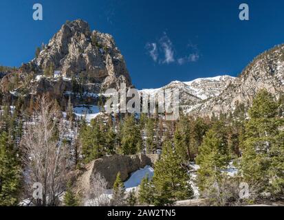 Charleston Peak massiv, auf der rechten Seite, in der Ferne, Blick im April von Mary Jane Falls Trail, Spring Mountains National Recreation Area, Nevada, USA Stockfoto