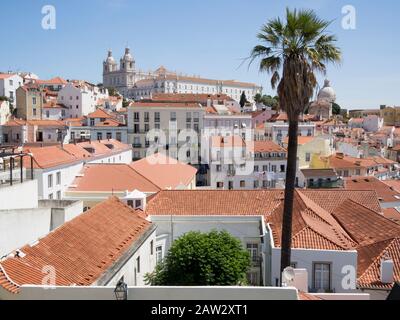 Blick mit Palme auf die Monsterie São Vicente de Fora im Miradouro das Portas do Sol, Lissabon, Portugal Stockfoto