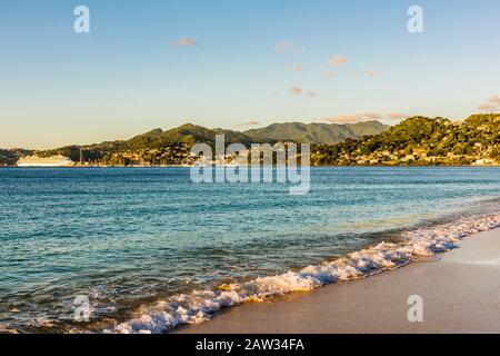 St. George's Hafen in der späten Nachmittagsonne vom Grand Anse Beach, Grenada Stockfoto