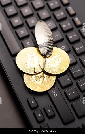 Bitcoin-Münzen an einem Haken über der Tastatur. Konzept, Geld zu fangen, Geldschrecken, Kryptologie-Betrug Stockfoto