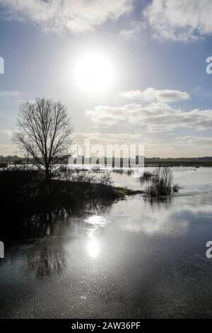 Wesel, Nordrhein-Westfalen, Niederrhein, Deutschland, Lippe, Überschwemmt in der renaturierten Flutmulde an der Lippe in den Rhein. Wesel, Nein Stockfoto