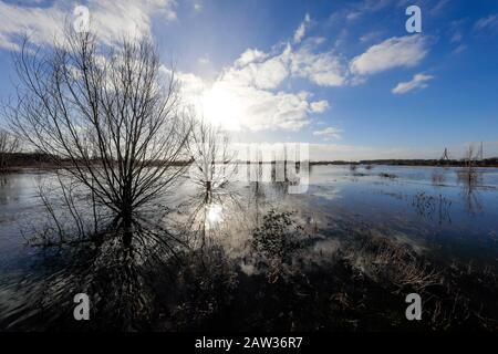 Wesel, Nordrhein-Westfalen, Niederrhein, Deutschland, Lippe, Überschwemmt in der renaturierten Flutmulde an der Lippe in den Rhein. Wesel, Nein Stockfoto